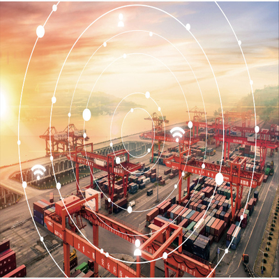 Door To Door International Sea Freight Forwarding DDP From China To Australia