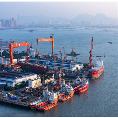 From China To UAE Middle East International DDP Sea Freight Forwarder