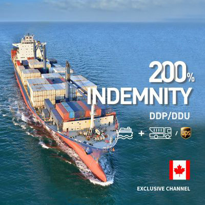 International Sea Freight Forwarding DDP From China To South Africa