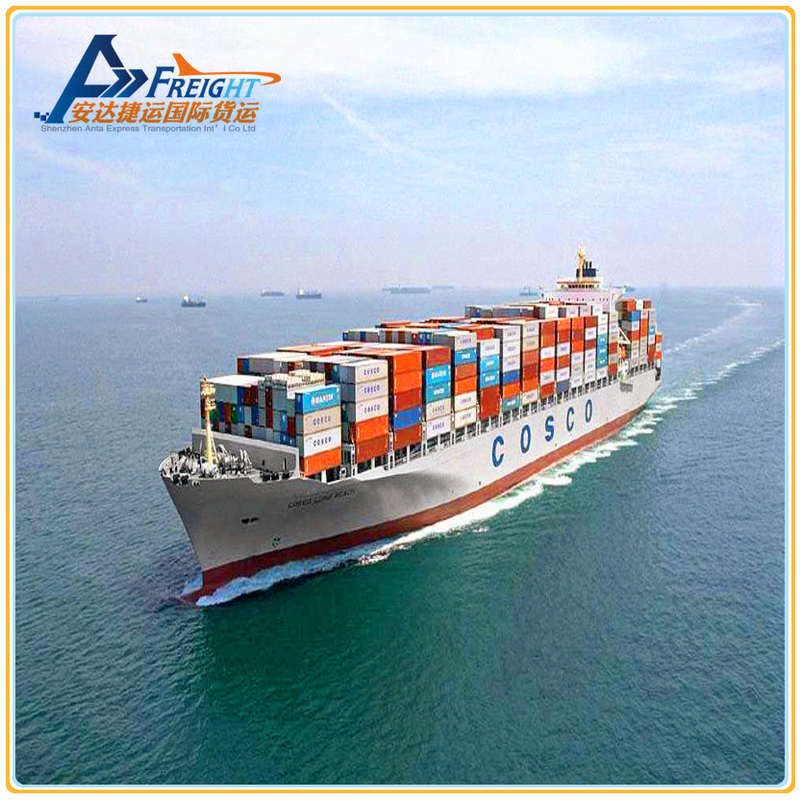 FBA International Sea Freight Forwarder From China To Canada