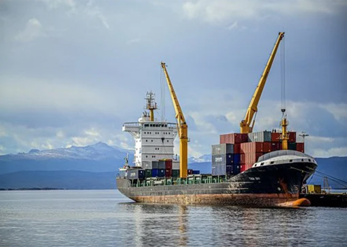 International Sea Freight Forwarding DDP From China To South Africa